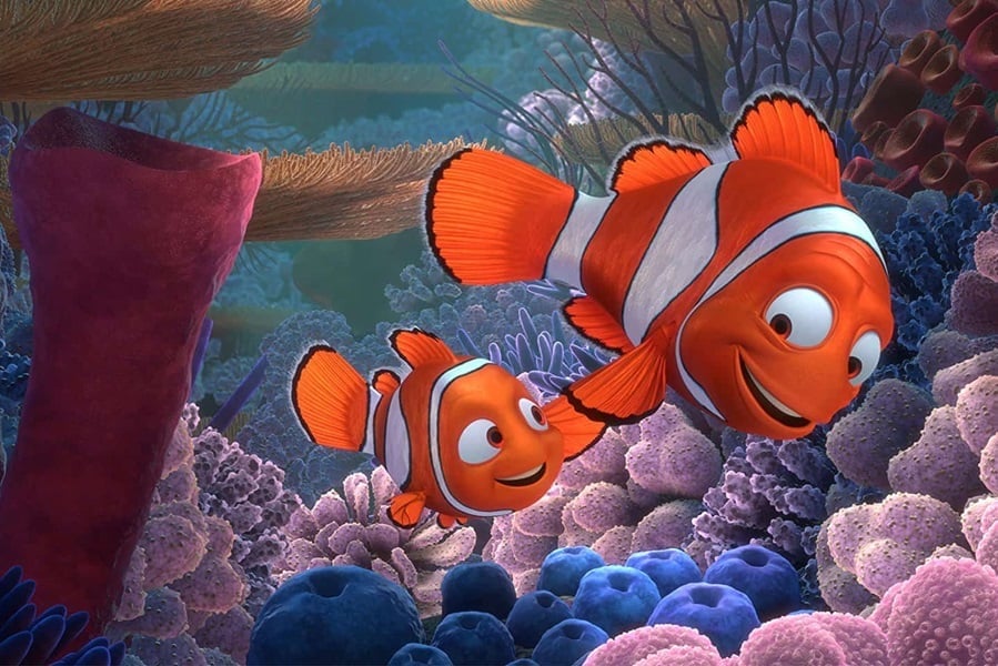 Finding Nemo: Presented By The Shark Trust