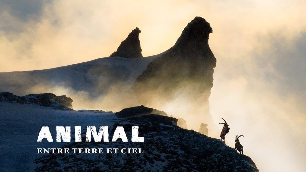 « ANIMAL - Entre Terre et Ciel »