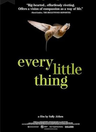 Every Little Thing