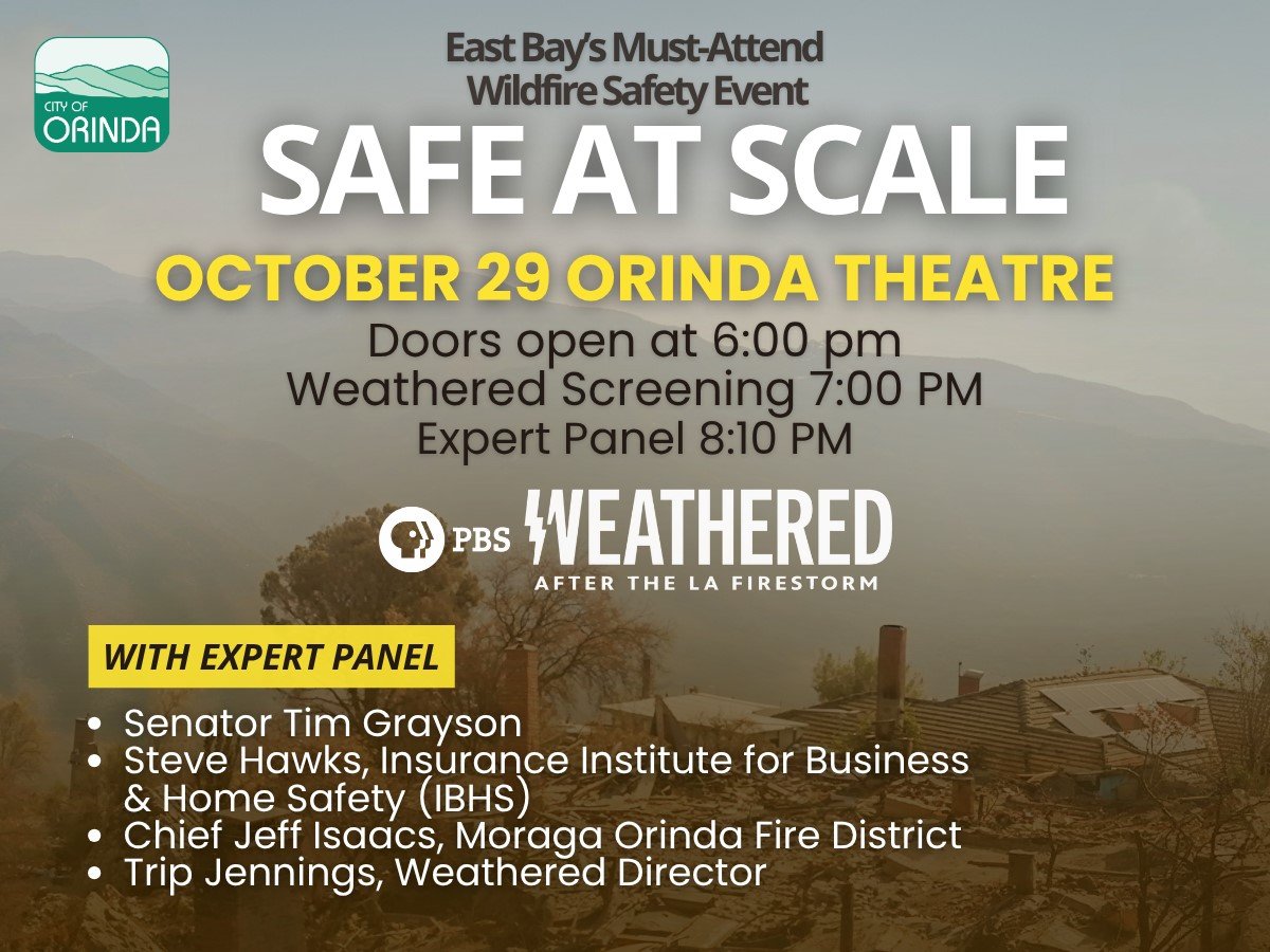 SAFE AT SCALE - WEATHERED