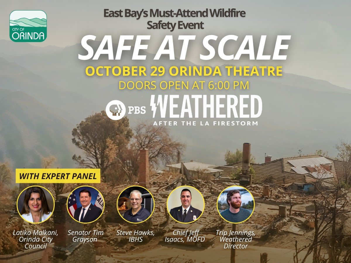 SAFE AT SCALE - WEATHERED