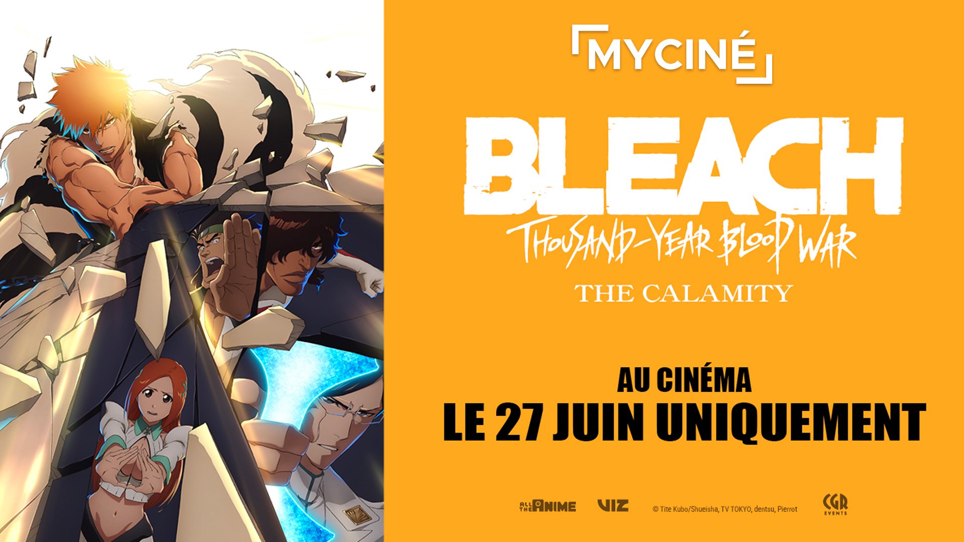 Bleach : Thousand Year Blood War - The Calamity