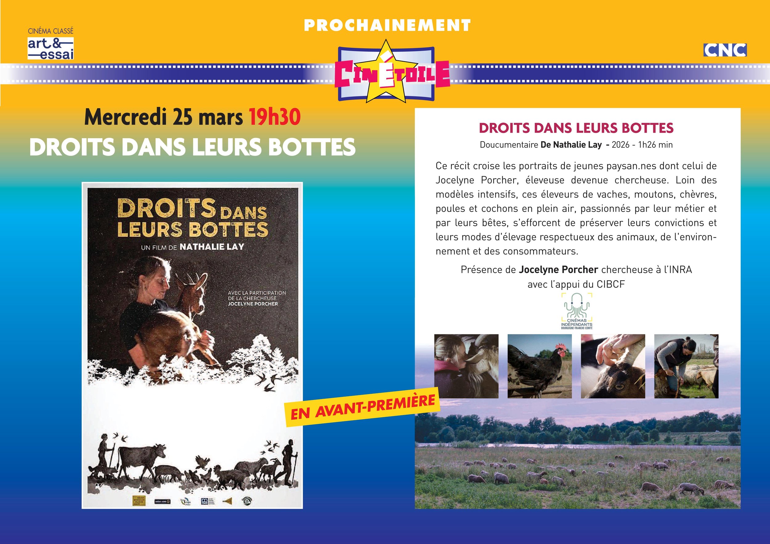 Droits dans leurs bottes