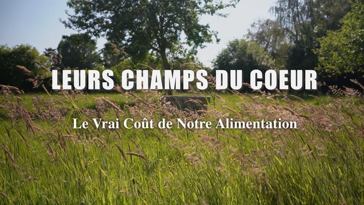 SOIRÉE DÉBAT : LEURS CHAMPS DU COEUR