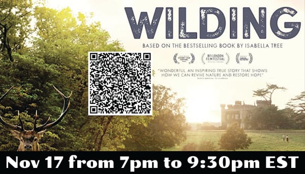 WILDING | Special Screening & Panel Discussion | CAN Monthly Film Festival