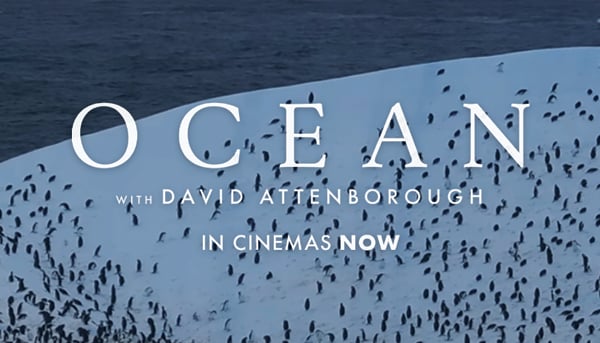 Climate Action NOW