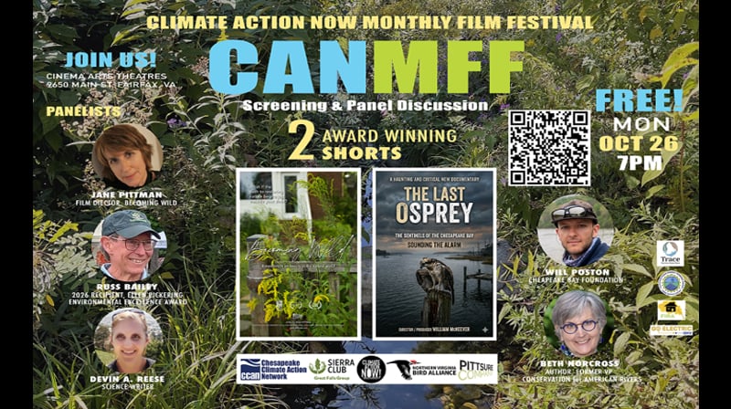 CANMFF: BECOMING WILD | THE LAST OSPREY