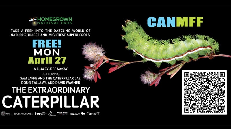 CANMMF: The Extraordinary Caterpillar | FREE