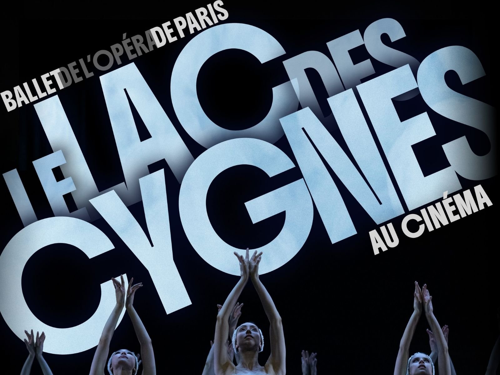 LE LAC DES CYGNES
