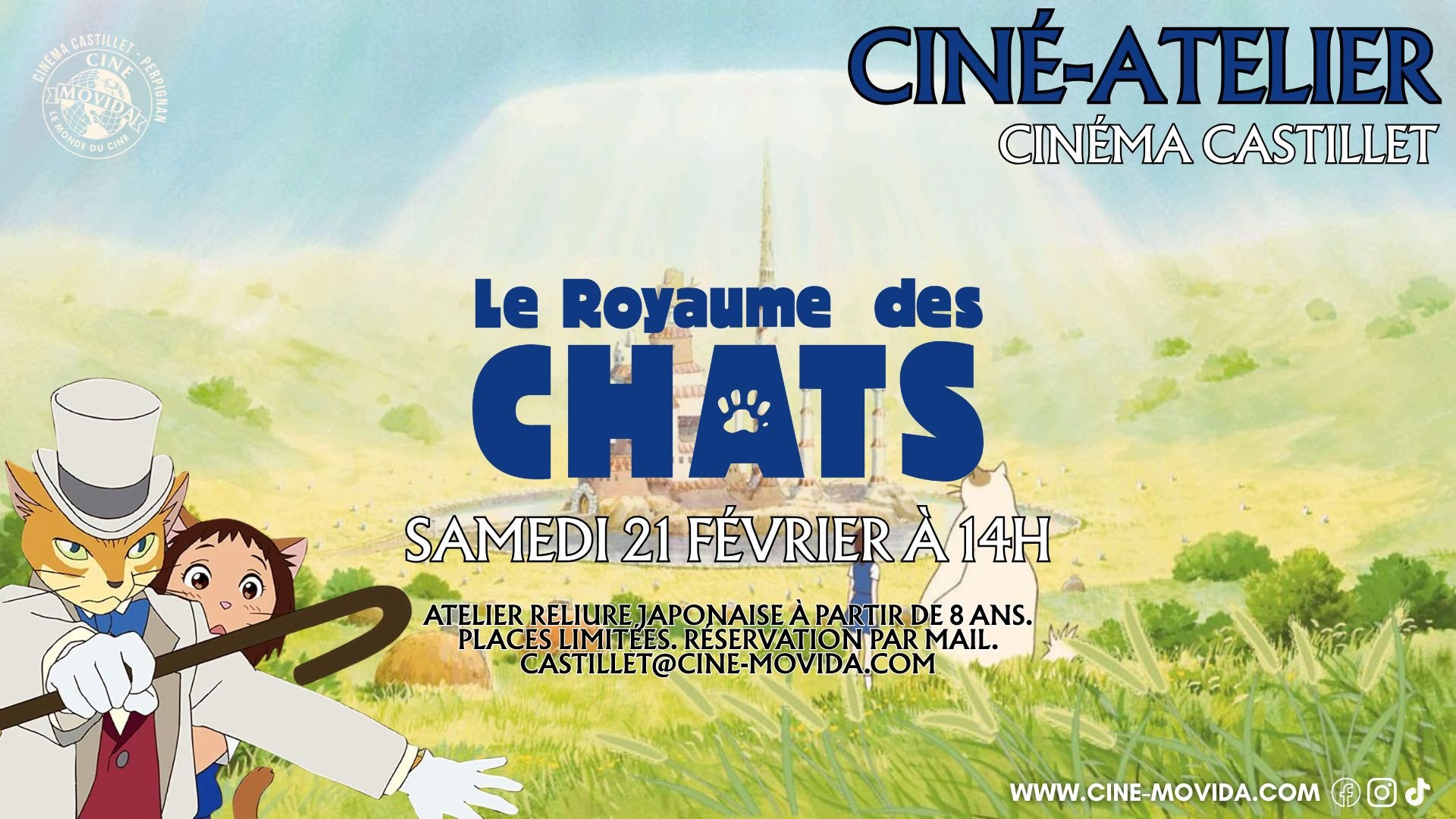 Le royaume des chats