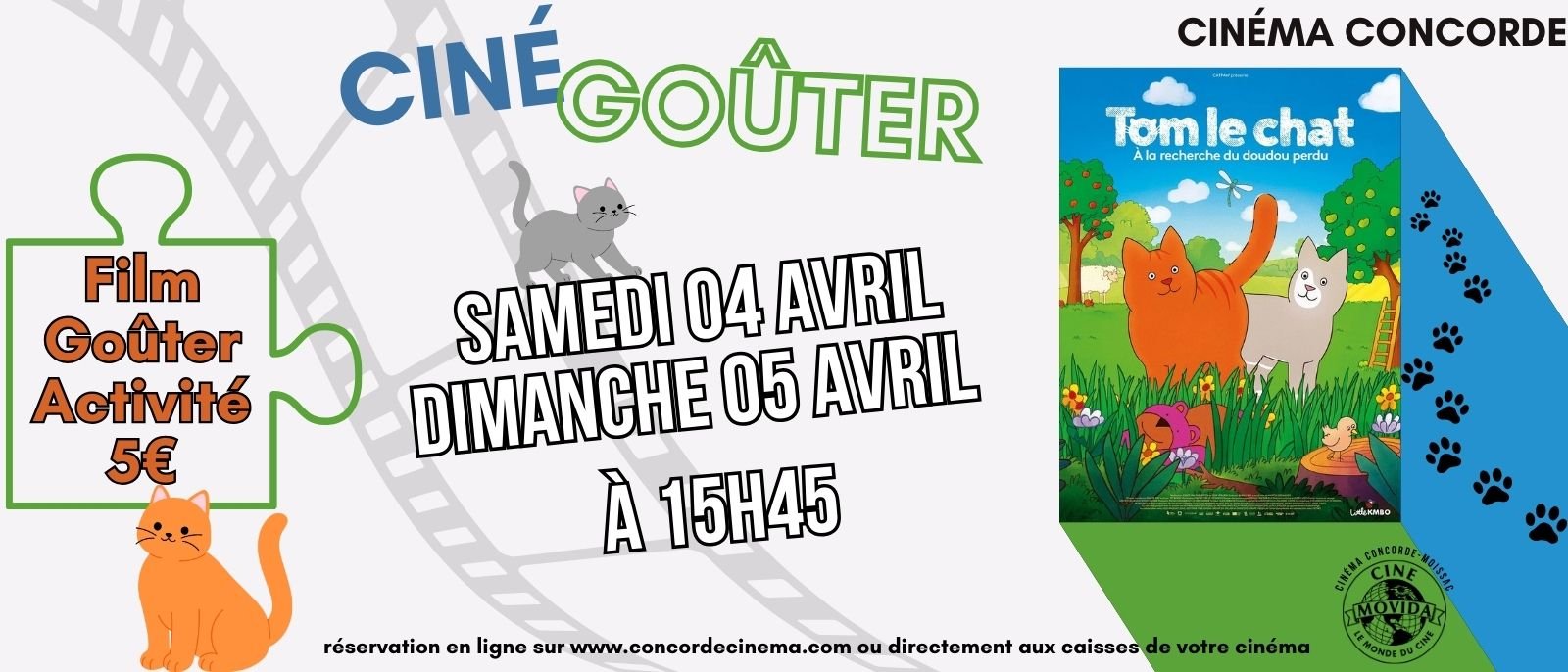 Tom le chat - À la recherche du doudou perdu