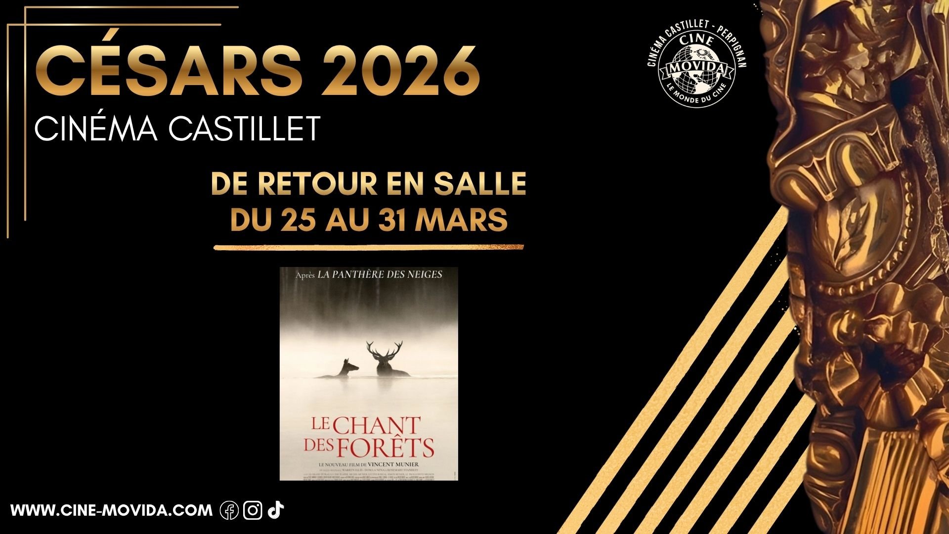 REPRISE DU FILM LAURÉAT DES CÉSARS 2026