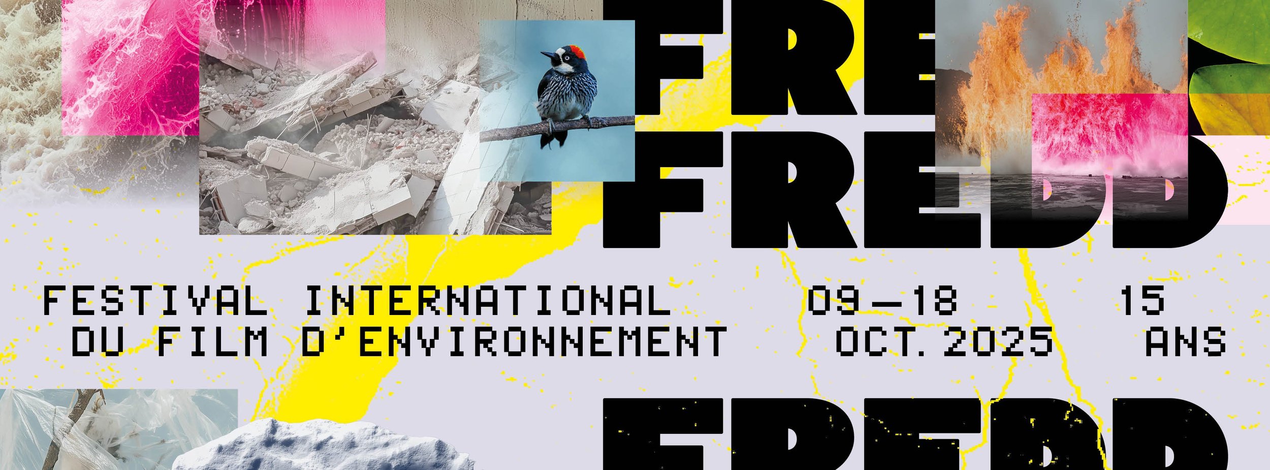 FESTIVAL FREDD