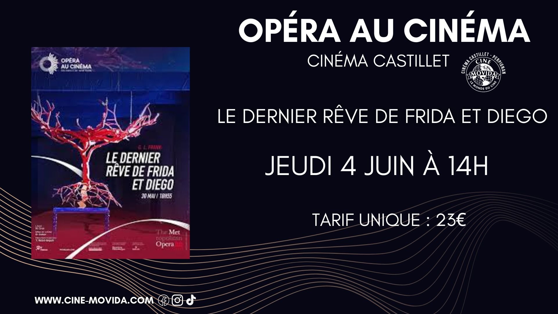 Le dernier rêve de Frida et Diego