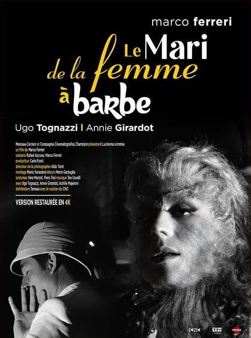 Le Mari de la femme a barbe