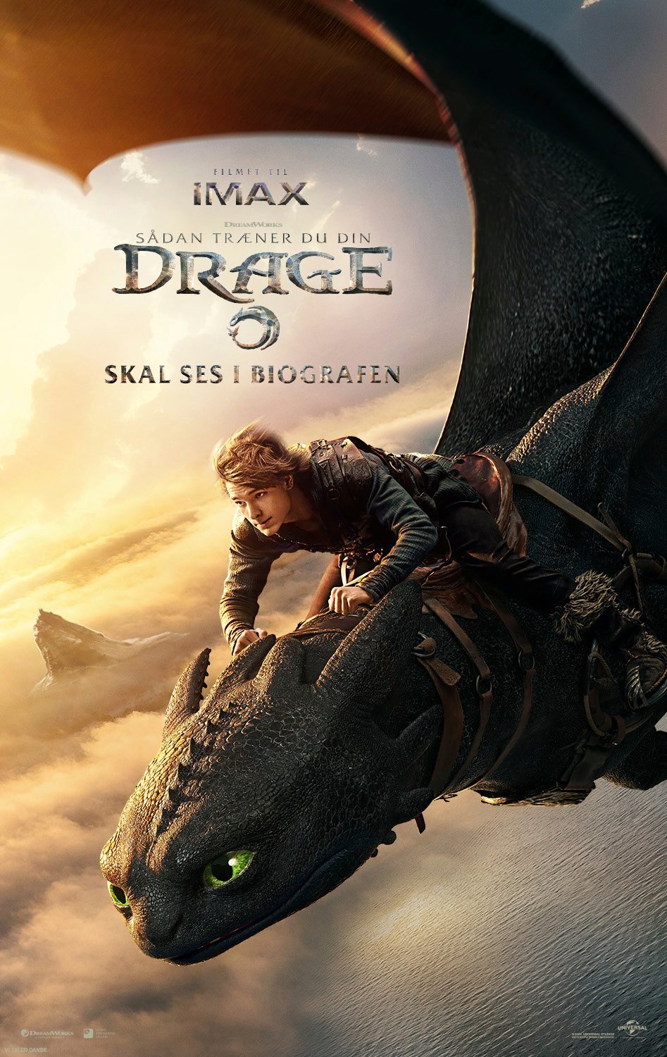 Sådan træner du din drage