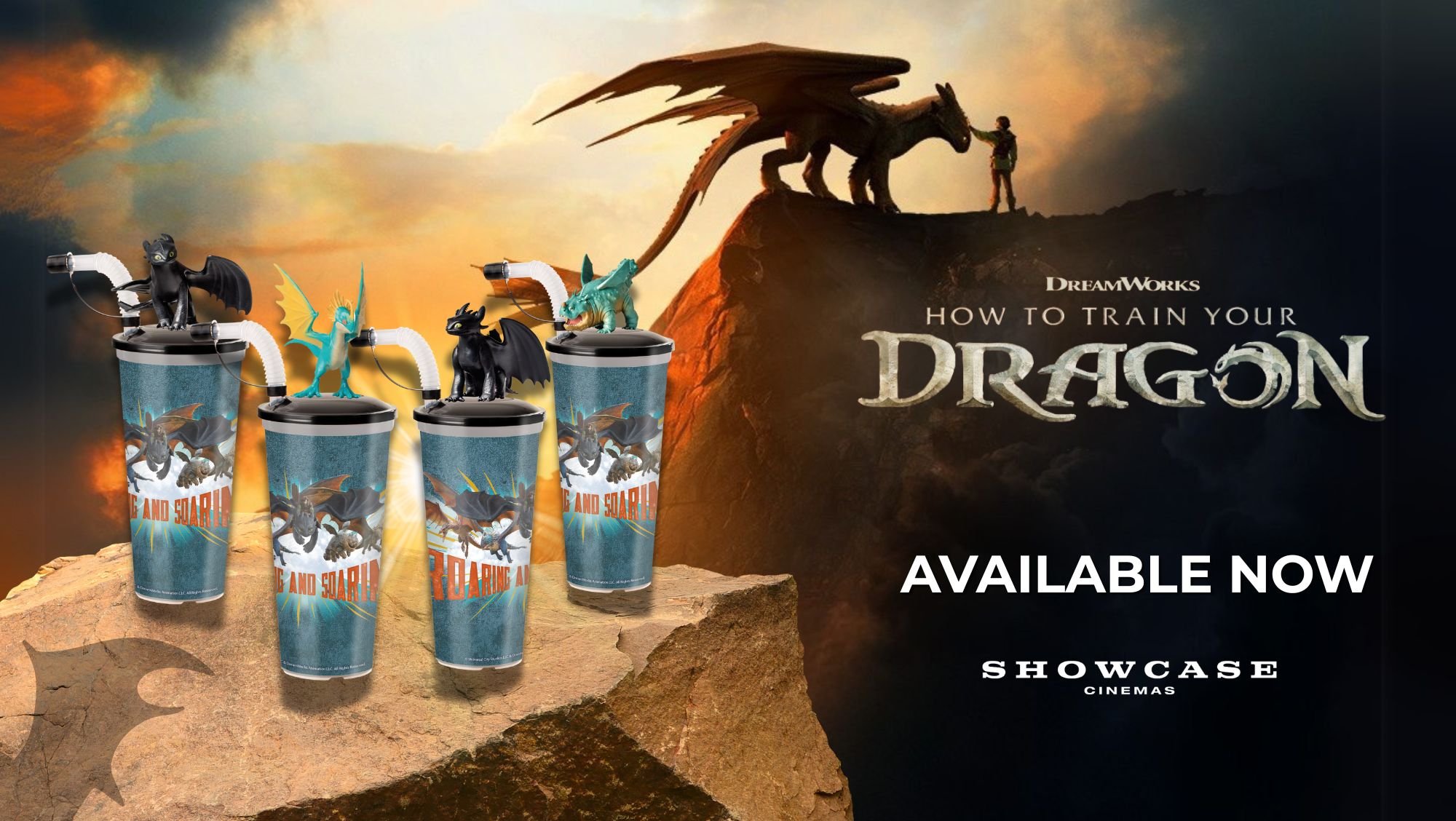How To Train Your Dragon Cups & Toppers