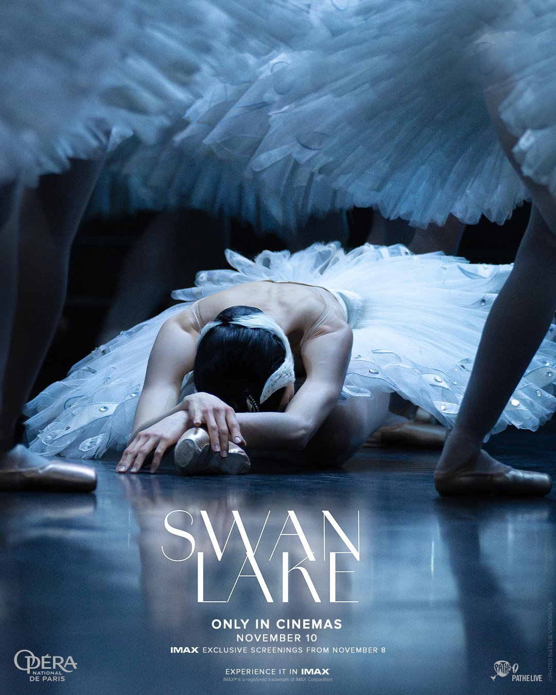 Swan Lake (Ballet)