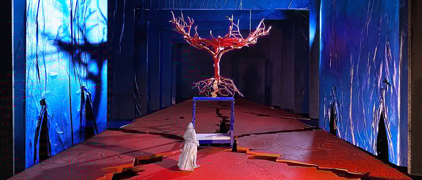 METROPOLITAN OPERA : LE DERNIER REVE DE FRIDA ET DIEGO