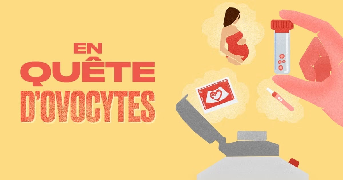 En quête d'ovocytes