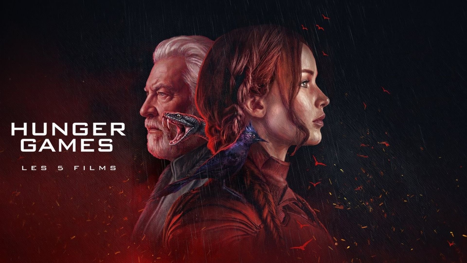Rétrospective : HUNGER GAMES - La Saga