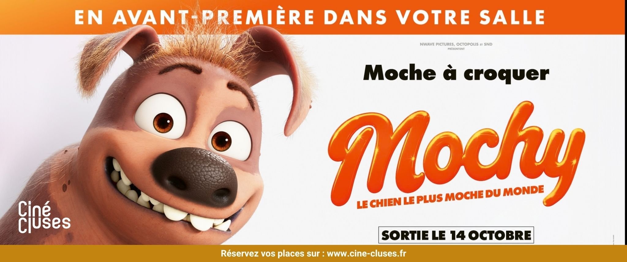 Avant-première -  Mochy 🧡