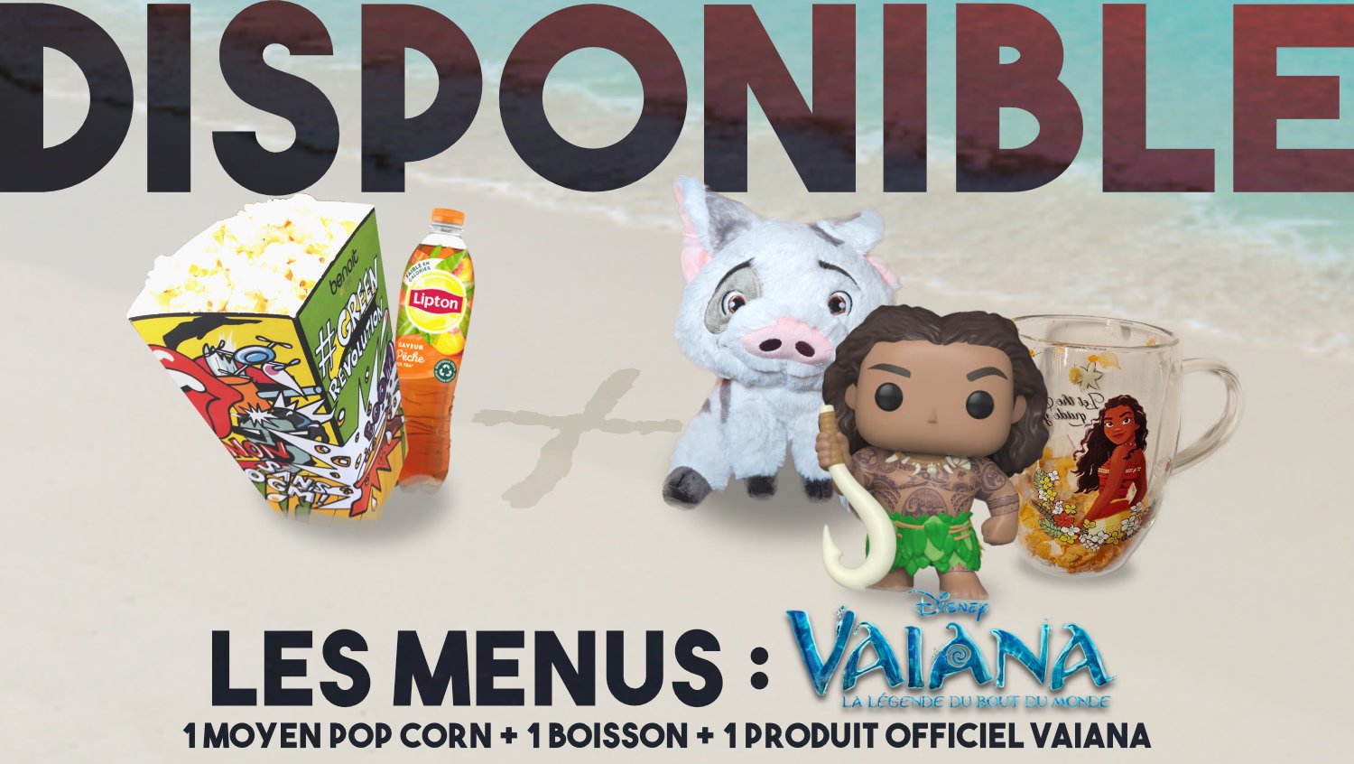 Prolongez l'aventure avec nos produits collectors exclusifs inspirés de l'univers de Vaiana !