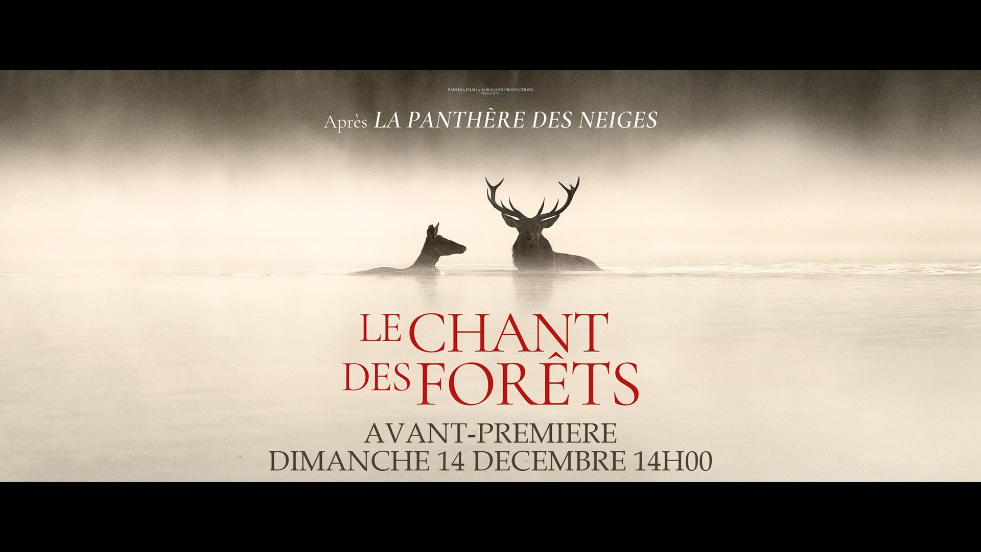 Le chant des forêts