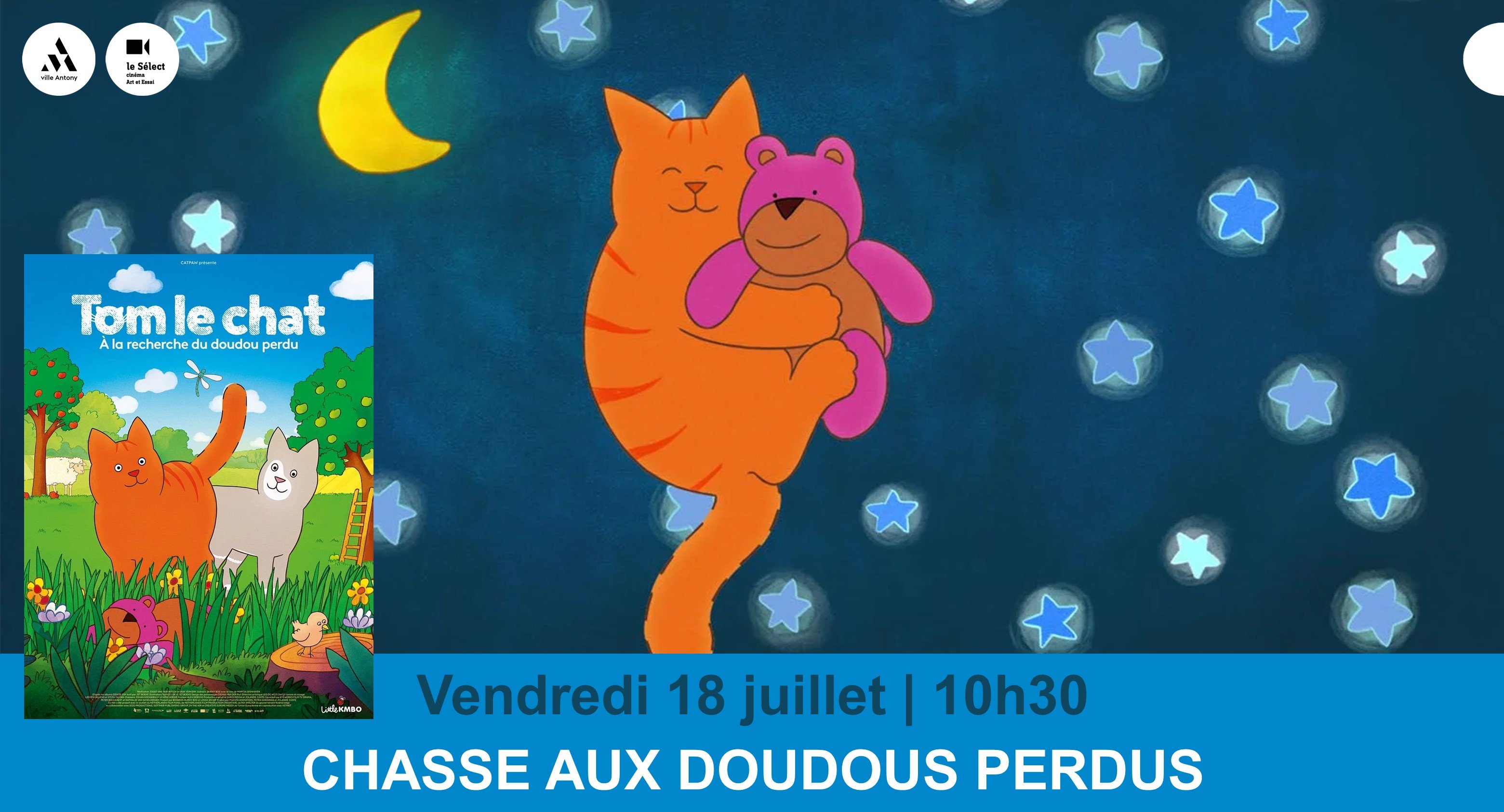 Séance spéciale TOM LE CHAT
