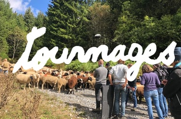 lien - tournages