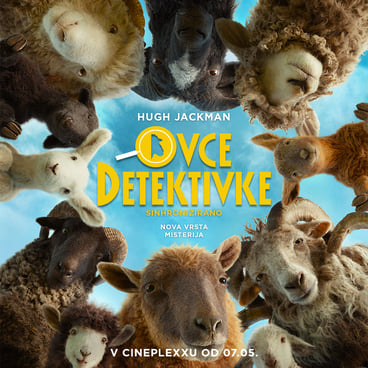 Ovce detektivke
