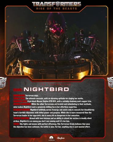 Nightbird Character Card