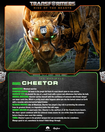 Cheetor Character Card