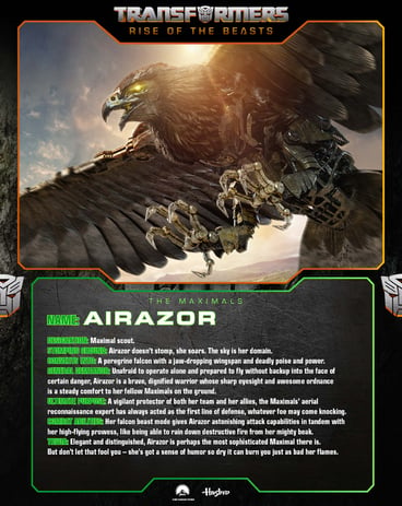 Airazor Character Card