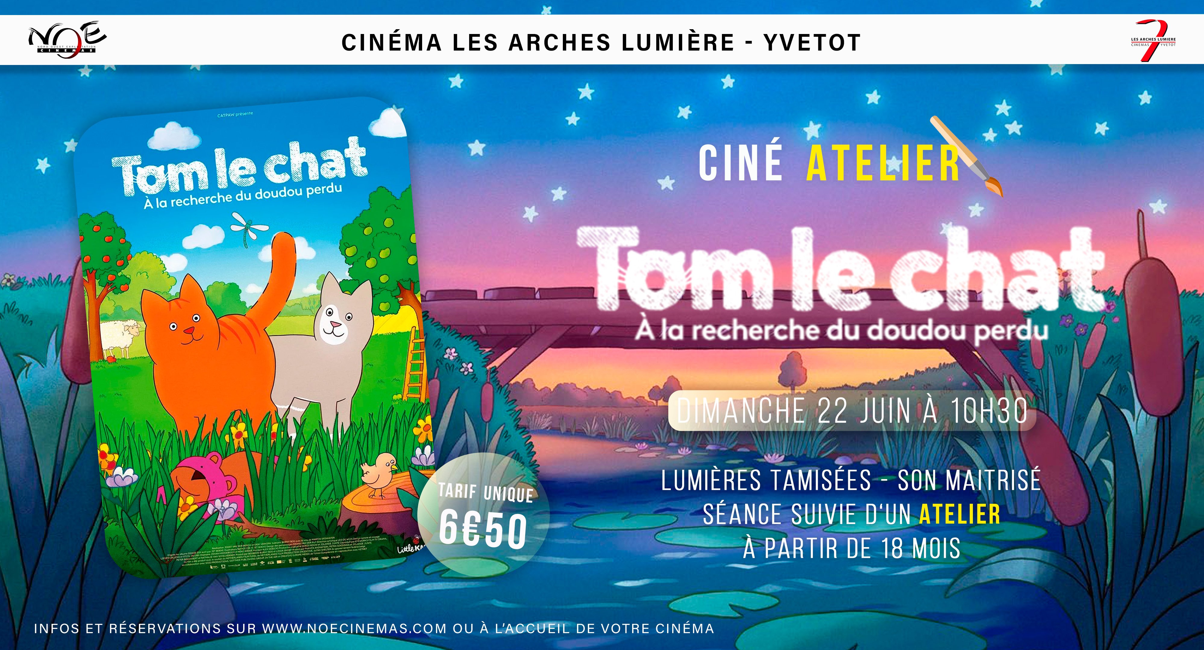 Tom le chat à la recherche du doudou perdu