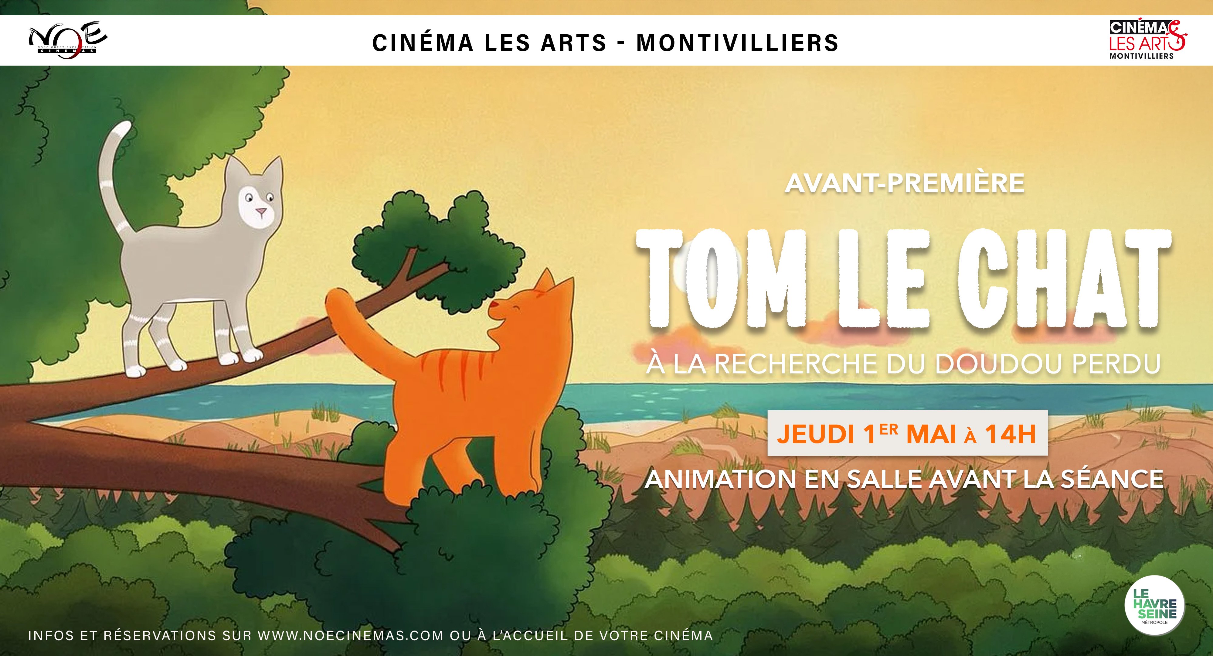 TOM LE CHAT
