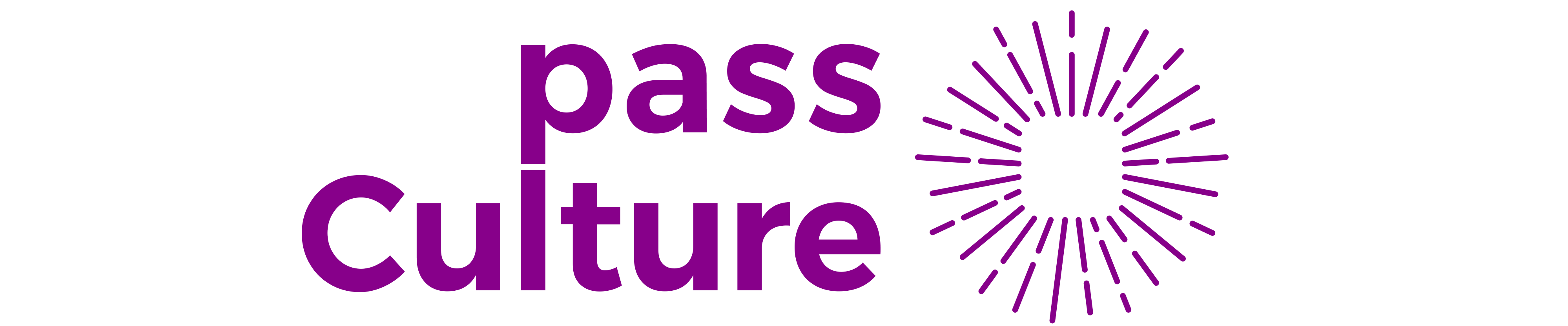 pass culture