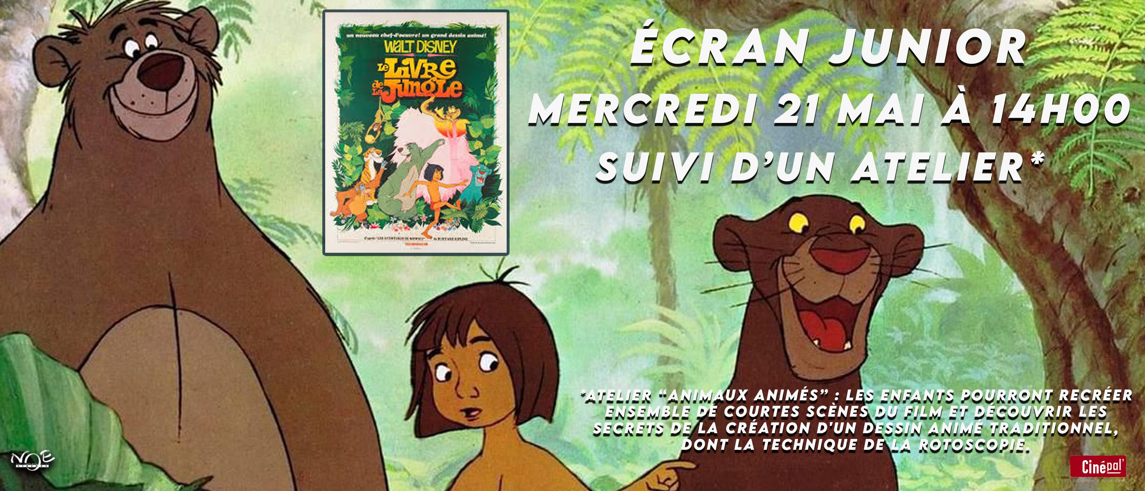 Ecran Junior LE LIVRE DE LA JUNGLE suivi d'un atelier 