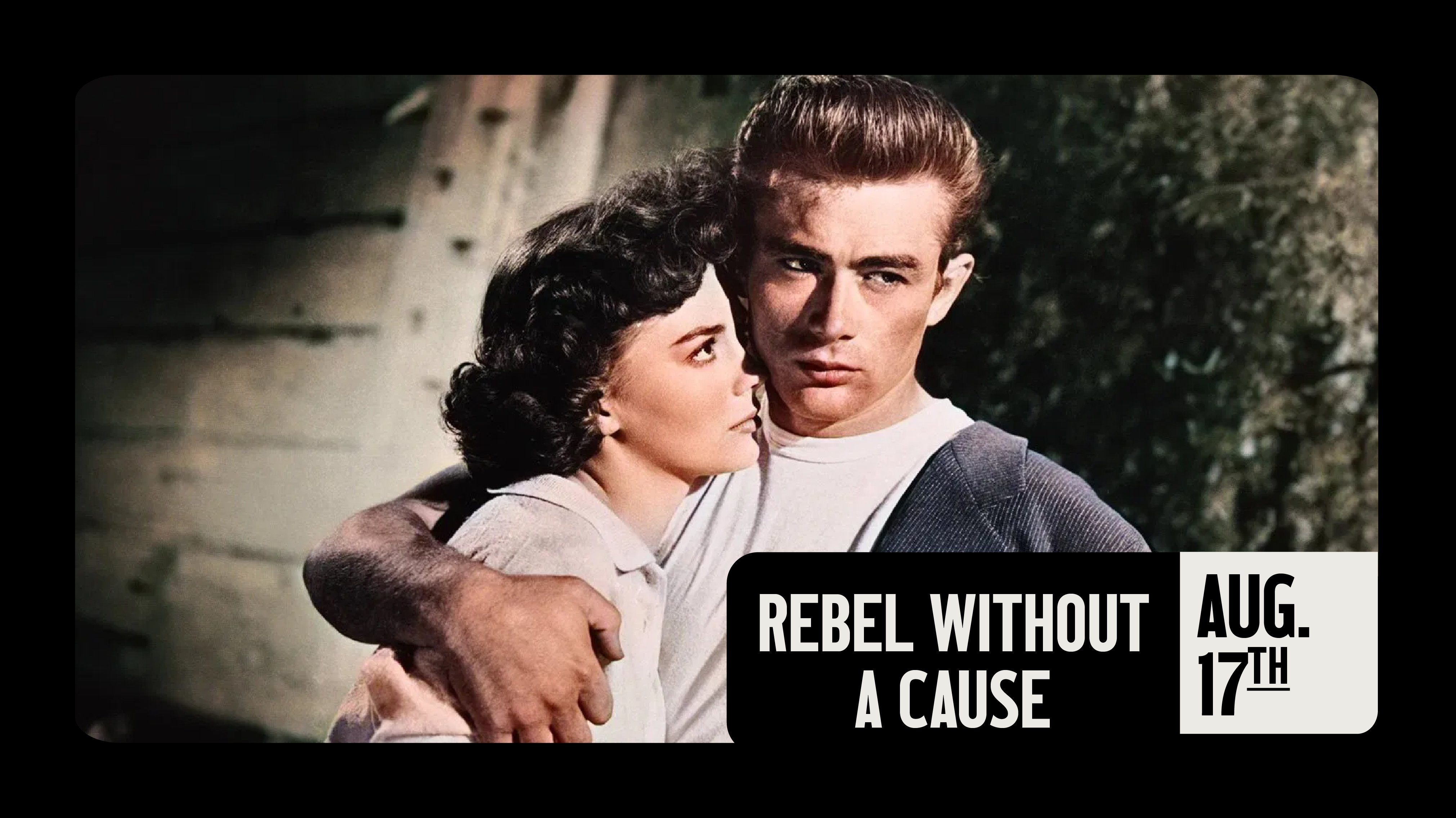 REBEL WITHOUT A CAUSE