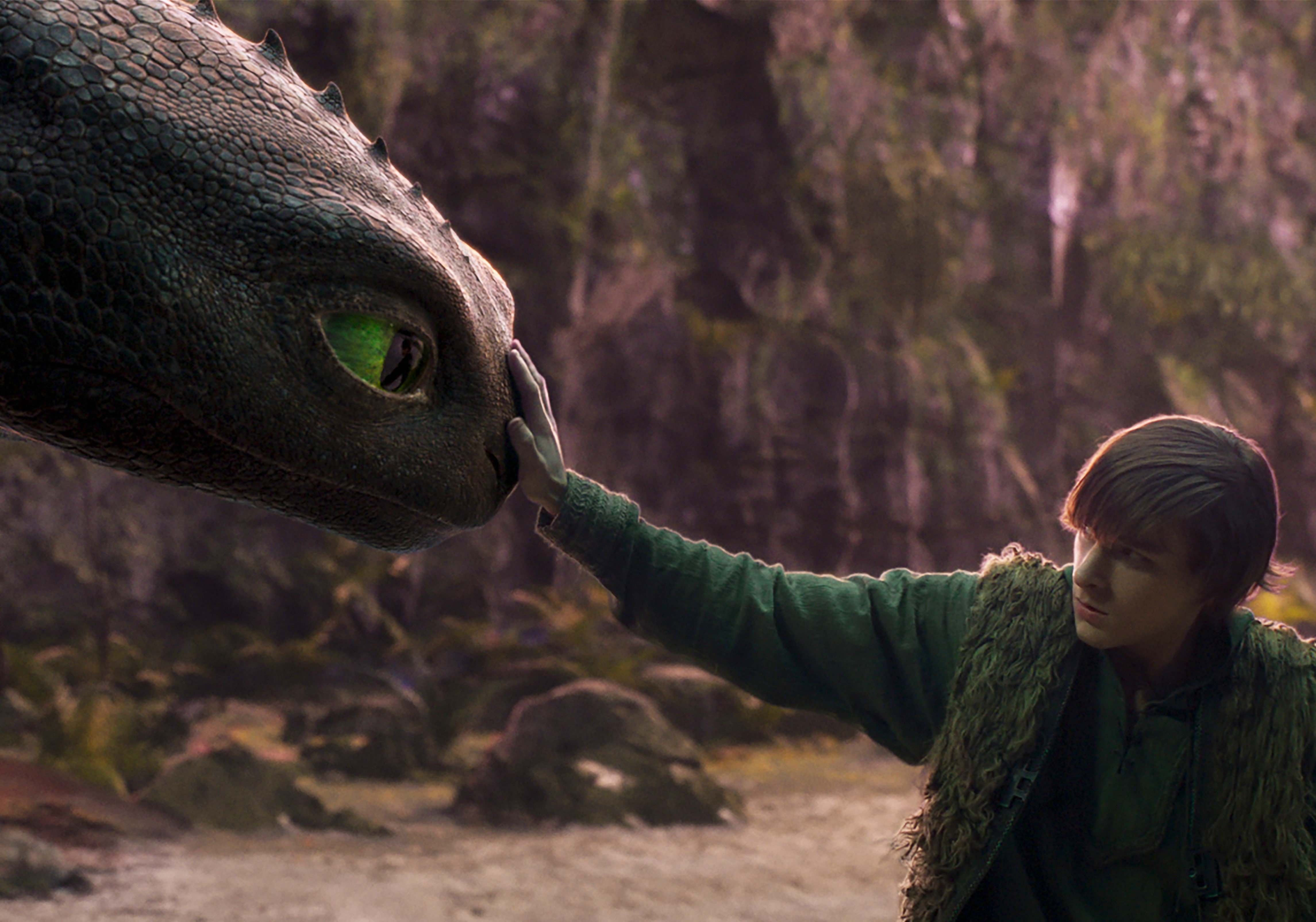 HTTYD1