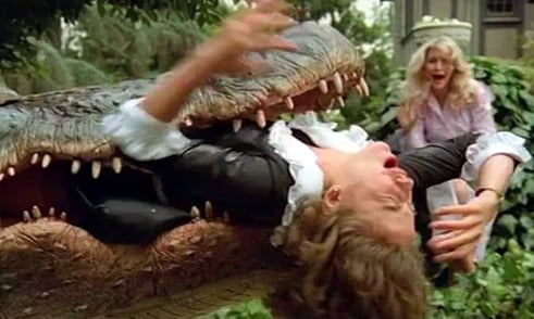 Alligator