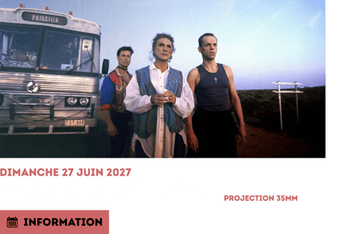 Priciliia folle du désert
