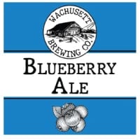 Wachusetts Blueberry Ale