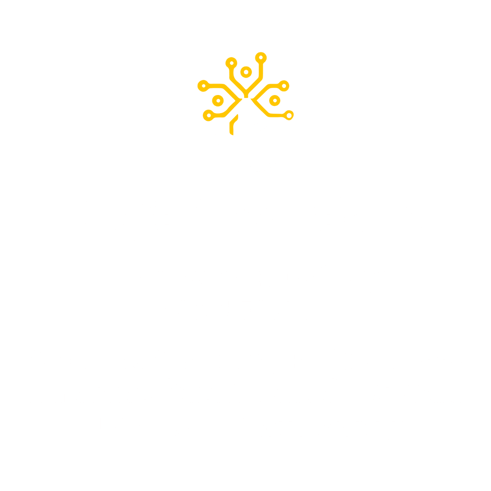 Digital Solutions