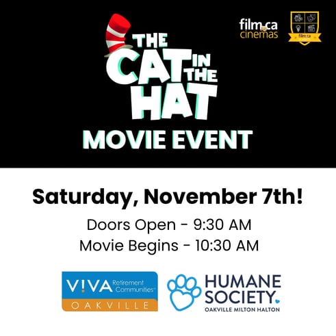 Cat in the hat