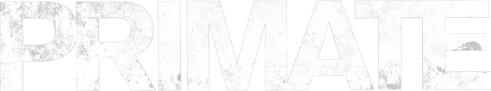 Primate