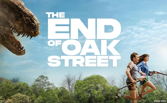 The End of Oak Street