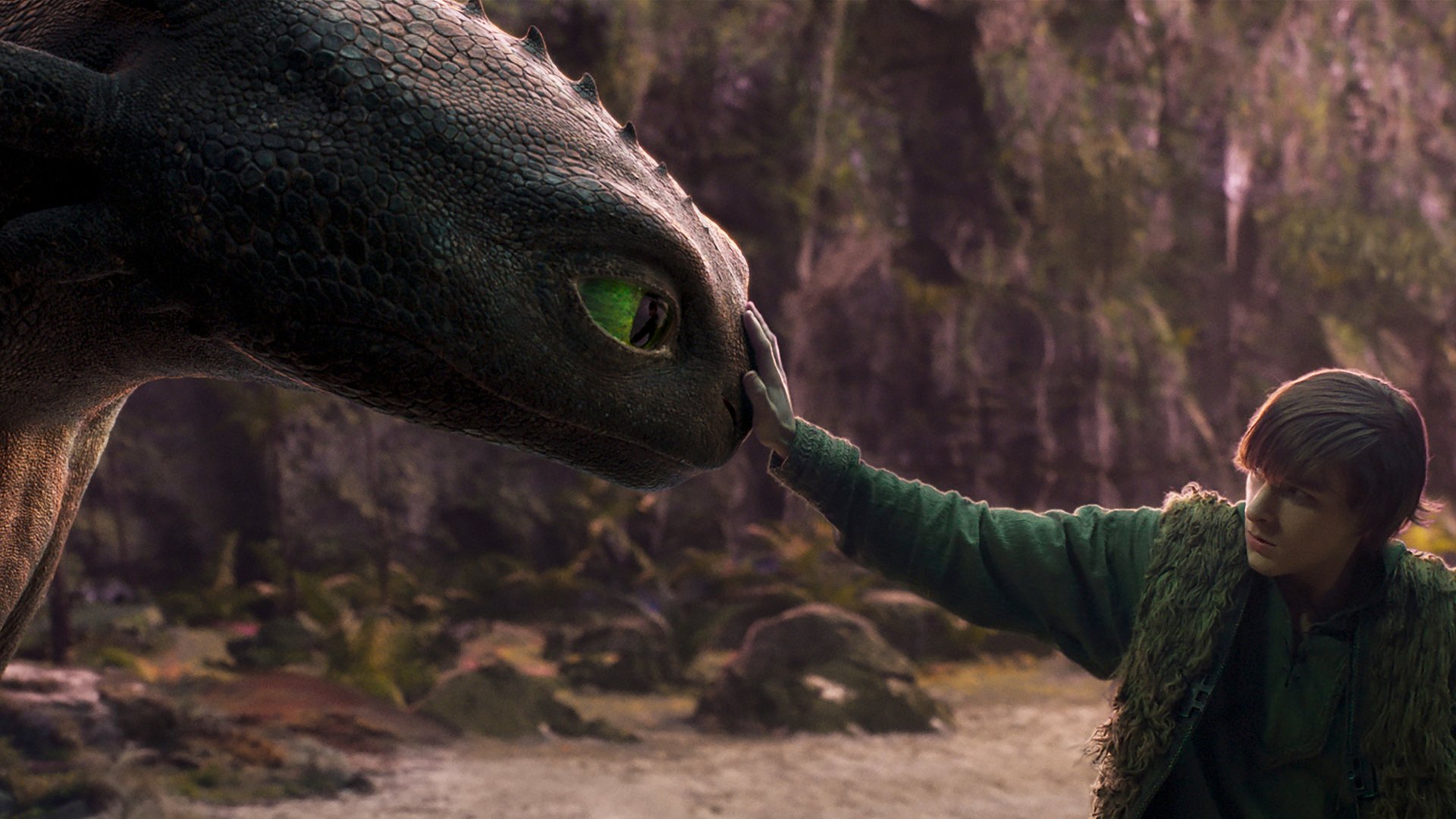 See how to train your dragon on your own private screen at Showcase Cinema de Lux!