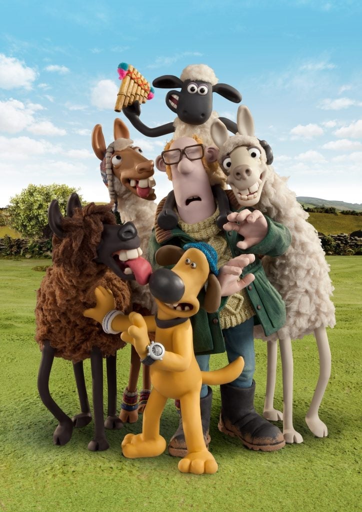 des moutons encercle un humain