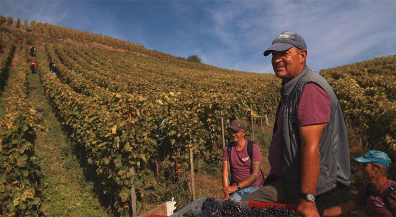 LES CHAILLEES DE L'ENFER